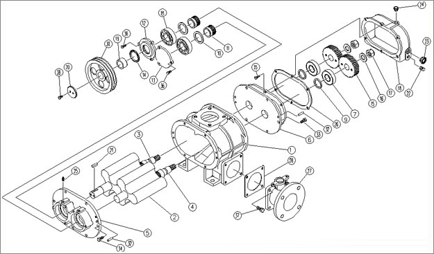 三葉羅茨風機結構圖 三葉羅茨風機結構圖