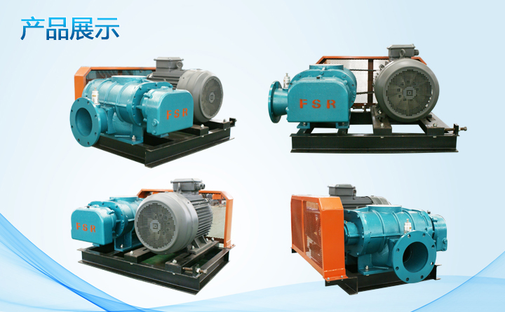 羅茨鼓風(fēng)機(jī) 羅茨鼓風(fēng)機(jī)