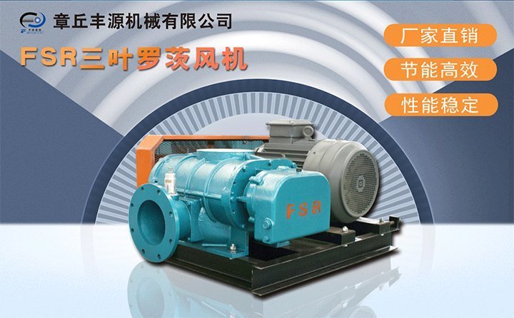 羅茨鼓風(fēng)機(jī) 羅茨鼓風(fēng)機(jī)