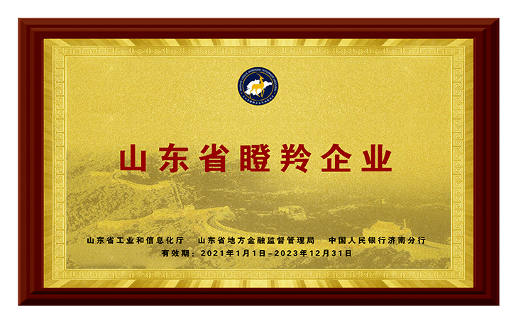 豐源榮獲山東省瞪羚企業 豐源榮獲山東省瞪羚企業