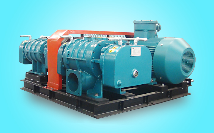 豐源機(jī)械雙級羅茨鼓風(fēng)機(jī)產(chǎn)品展示 豐源機(jī)械雙級羅茨鼓風(fēng)機(jī)產(chǎn)品展示